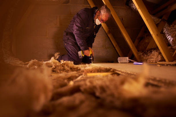 Best Geographic-Specific Insulation Services in Boerne, TX